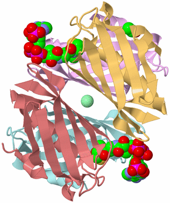Image Biological Unit 2