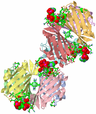 Image Asym. Unit - sites