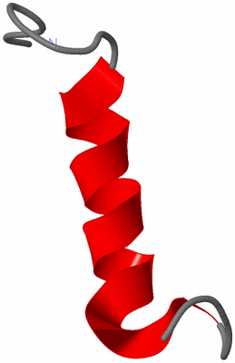 Image NMR Structure - model 1