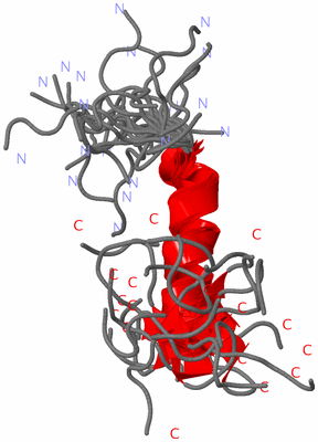 Image NMR Structure - all models