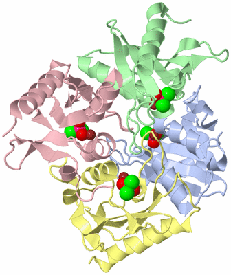 Image Asym./Biol. Unit