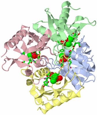 Image Asym./Biol. Unit - sites