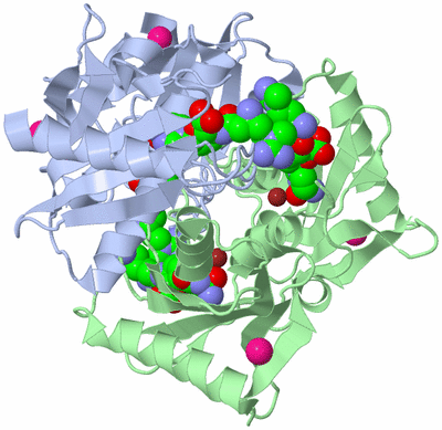 Image Biological Unit 1