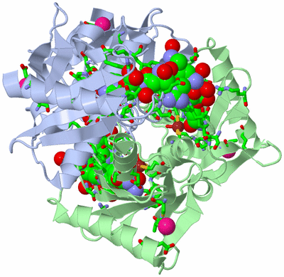 Image Biol. Unit 1 - sites