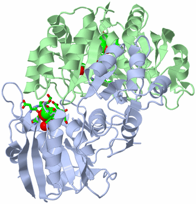 Image Asym./Biol. Unit - sites