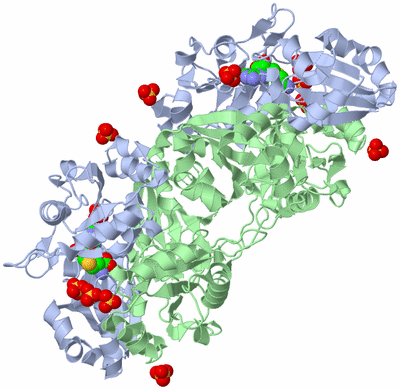 Image Biological Unit 2