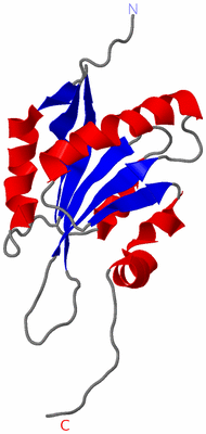 Image NMR Structure - model 1