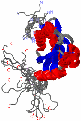 Image NMR Structure - all models