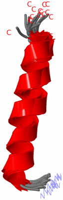 Image NMR Structure - all models