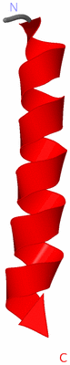 Image NMR Structure - model 1