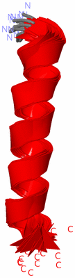 Image NMR Structure - all models