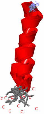 Image NMR Structure - all models