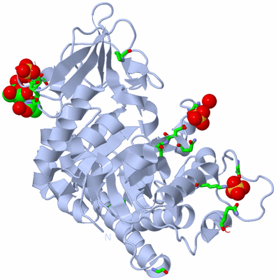 Image Biol. Unit 1 - sites