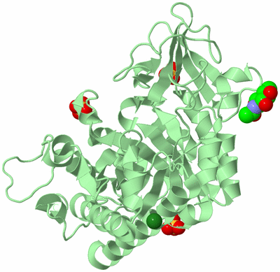 Image Biological Unit 2