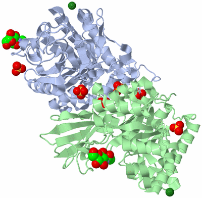 Image Biological Unit 3