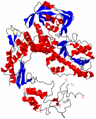 Image Asym./Biol. Unit