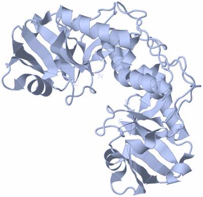 Image Biological Unit 3