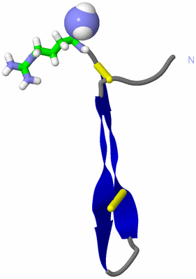 Image NMR Structure - model 1, sites