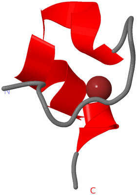 Image NMR Structure - model 1