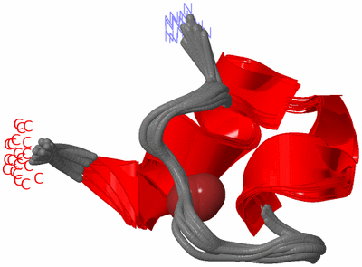 Image NMR Structure - all models