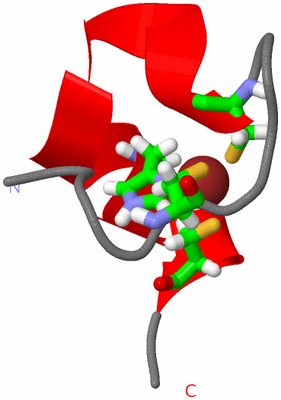 Image NMR Structure - model 1, sites