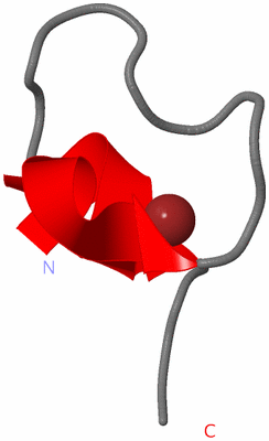 Image NMR Structure - model 1