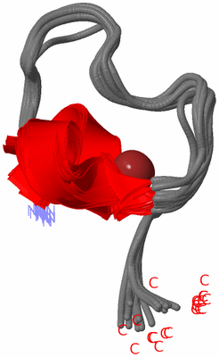 Image NMR Structure - all models