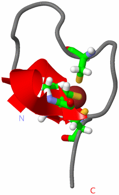 Image NMR Structure - model 1, sites