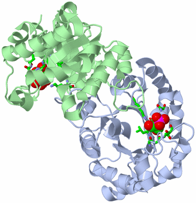 Image Biol. Unit 1 - sites