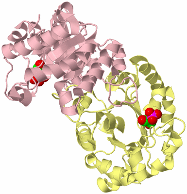 Image Biological Unit 2