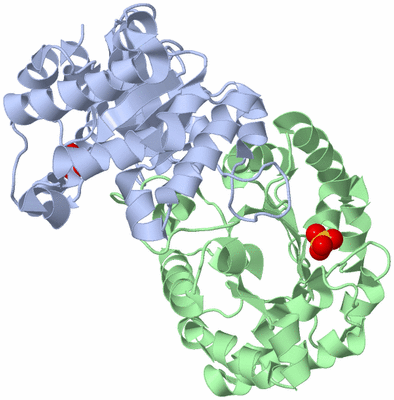 Image Biological Unit 1