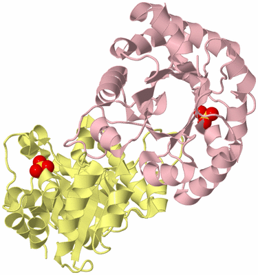 Image Biological Unit 2