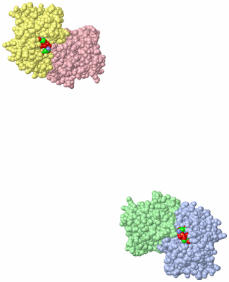 Image Asym. Unit - sites