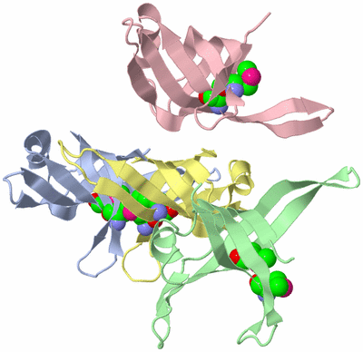 Image Biological Unit 1