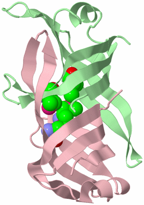 Image Biological Unit 3