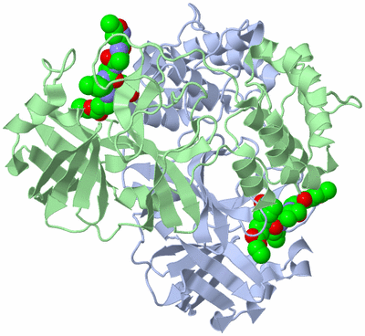 Image Asym./Biol. Unit