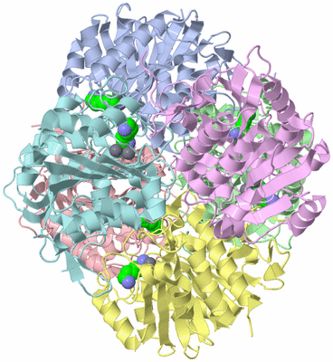 Image Asym./Biol. Unit