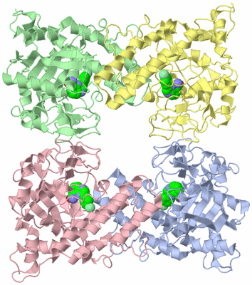 Image Asym./Biol. Unit