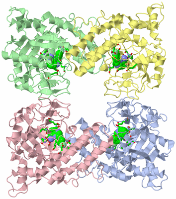 Image Asym./Biol. Unit - sites