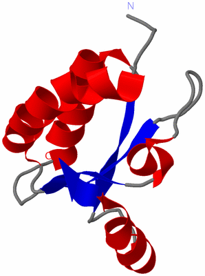 Image NMR Structure - model 1