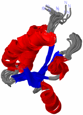 Image NMR Structure - all models