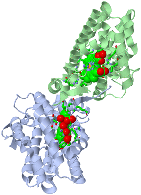 Image Asym./Biol. Unit - sites