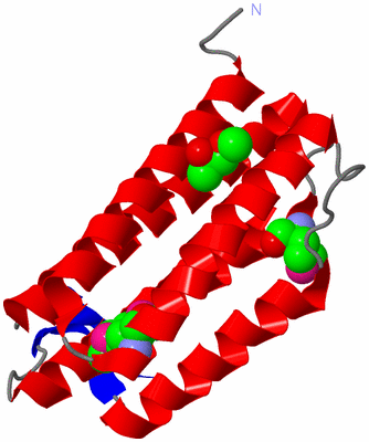 Image Asymmetric Unit