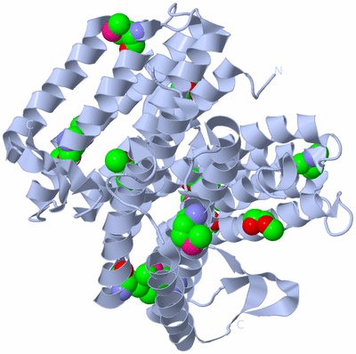 Image Biological Unit 1