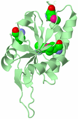 Image Biological Unit 2