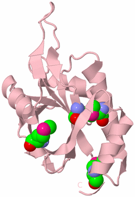 Image Biological Unit 3