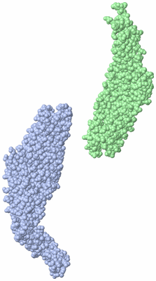 Image Asymmetric Unit