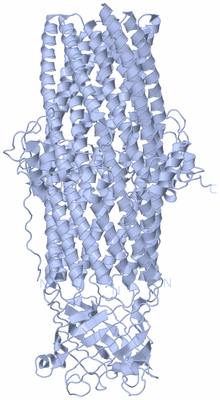 Image Biological Unit 1