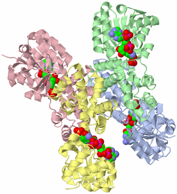 Image Asym./Biol. Unit