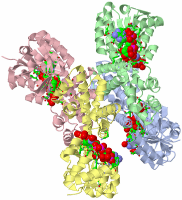 Image Asym./Biol. Unit - sites